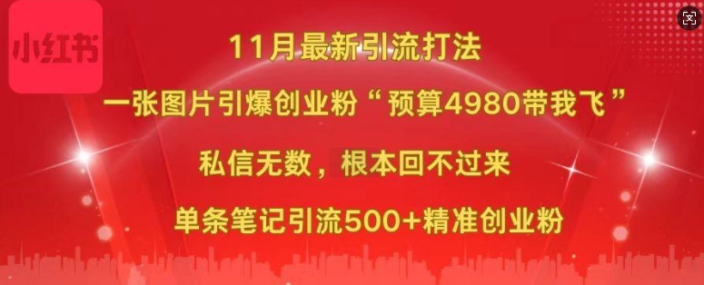 小红书11月最新图片打粉，一张图片引爆创业粉，“预算4980带我飞”，单条引流500+精准创业粉-副业网创