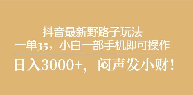抖音最新野路子玩法，一单35，小白一部手机即可操作，，日入3000+，闷…-副业网创