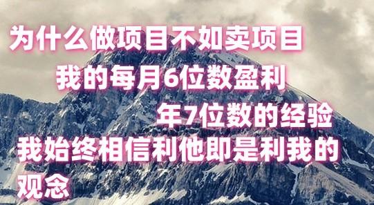 做项目不如卖项目，每月6位数盈利，年7位数经验-副业网创