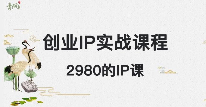 外边卖2980的创业IP课程，做私域月入5w+-副业网创