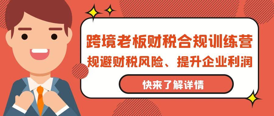 (9838期)跨境老板-财税合规训练营，规避财税风险、提升企业利润-副业网创