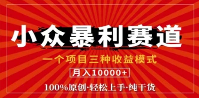 视频号最新爆火赛道，三种可收益模式，0粉新号条条原创条条热门 日入1000+-副业网创