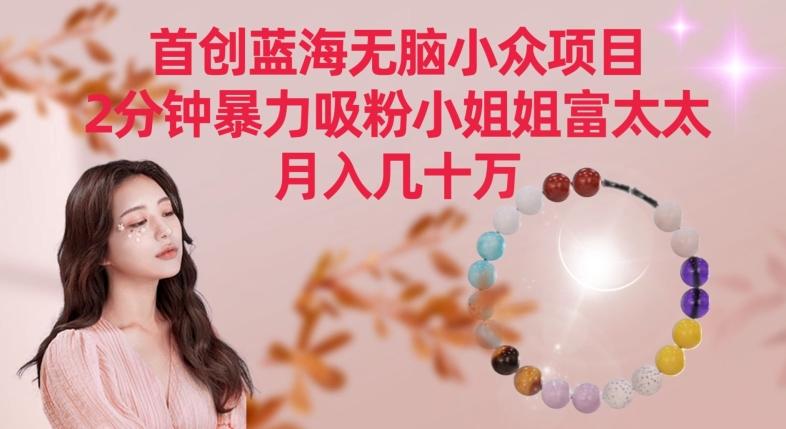 首创蓝海无脑小众项目，2分钟暴力吸粉小姐姐富太太，月入几十万【揭秘】-副业网创