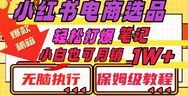 小红书电商爆款选品秘籍，帮你轻松打爆笔记，小白也可轻松月销10000+-副业网创
