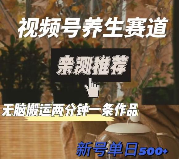 视频号养生赛道暴力掘金，无脑搬运，两分钟一条作品-新日单入500+-副业网创