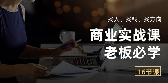 商业实战课【老板必学】：找人、找钱、找方向(16节课-副业网创