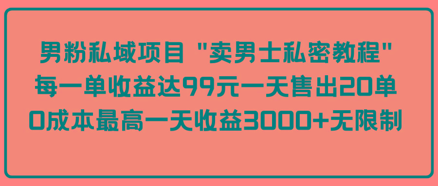 (9730期)男粉私域项目 “卖男士私密教程” 每一单收益达99元一天售出20单-副业网创