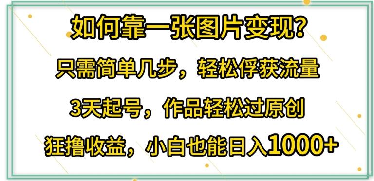 如何靠一张图片变现?只需简单几步，轻松俘获流量，3天起号，作品轻松过原创【揭秘】-副业网创