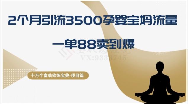 十万个富翁修炼宝典之13.2个月引流3500孕婴宝妈流量，一单88卖到爆-副业网创