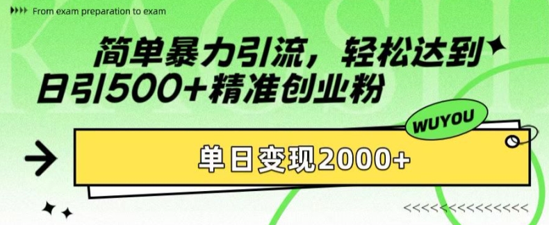 简单暴力引流，轻松达到日引500+精准创业粉，单日变现2k【揭秘】-副业网创